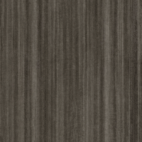 Shadow elm